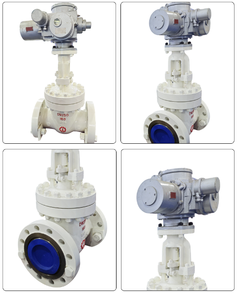 Multi Turn Electric Gate Valve Multi Turn Electric Gate Valve