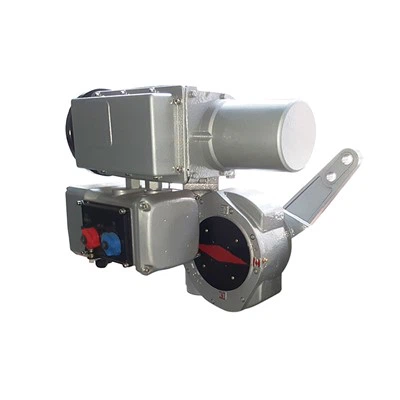 SMB+RS250/K60Z SMB+RS250/F60Z Wodoodporny siłownik elektryczny obrotowy